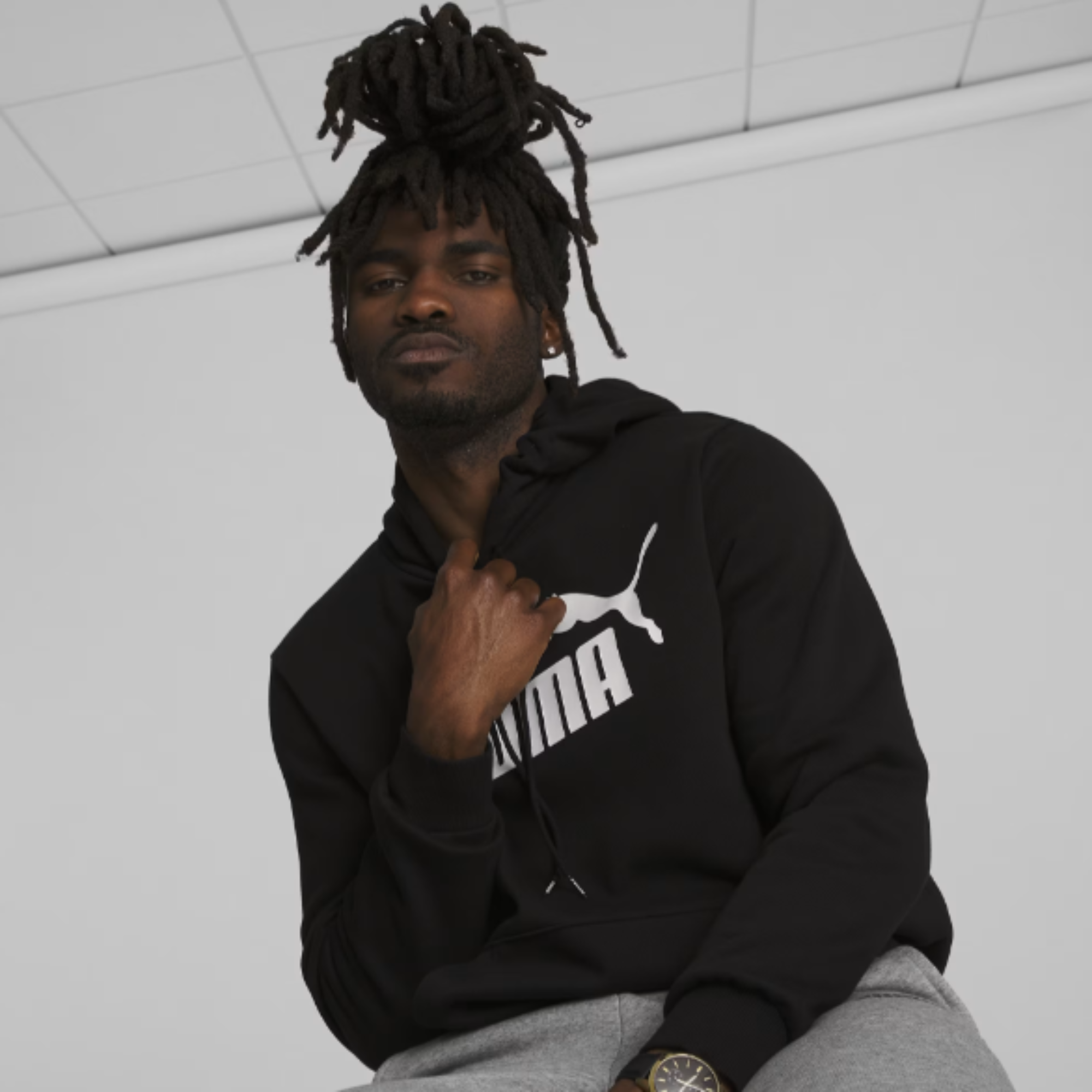 Men's Puma Essentials Big Logo Hoodie Pullover