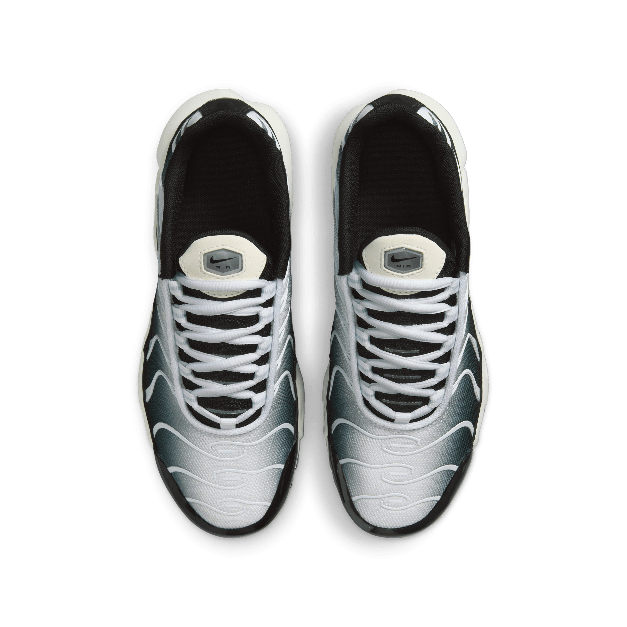 Big Kids' Nike Air Max Plus "Metallic Cool Grey"