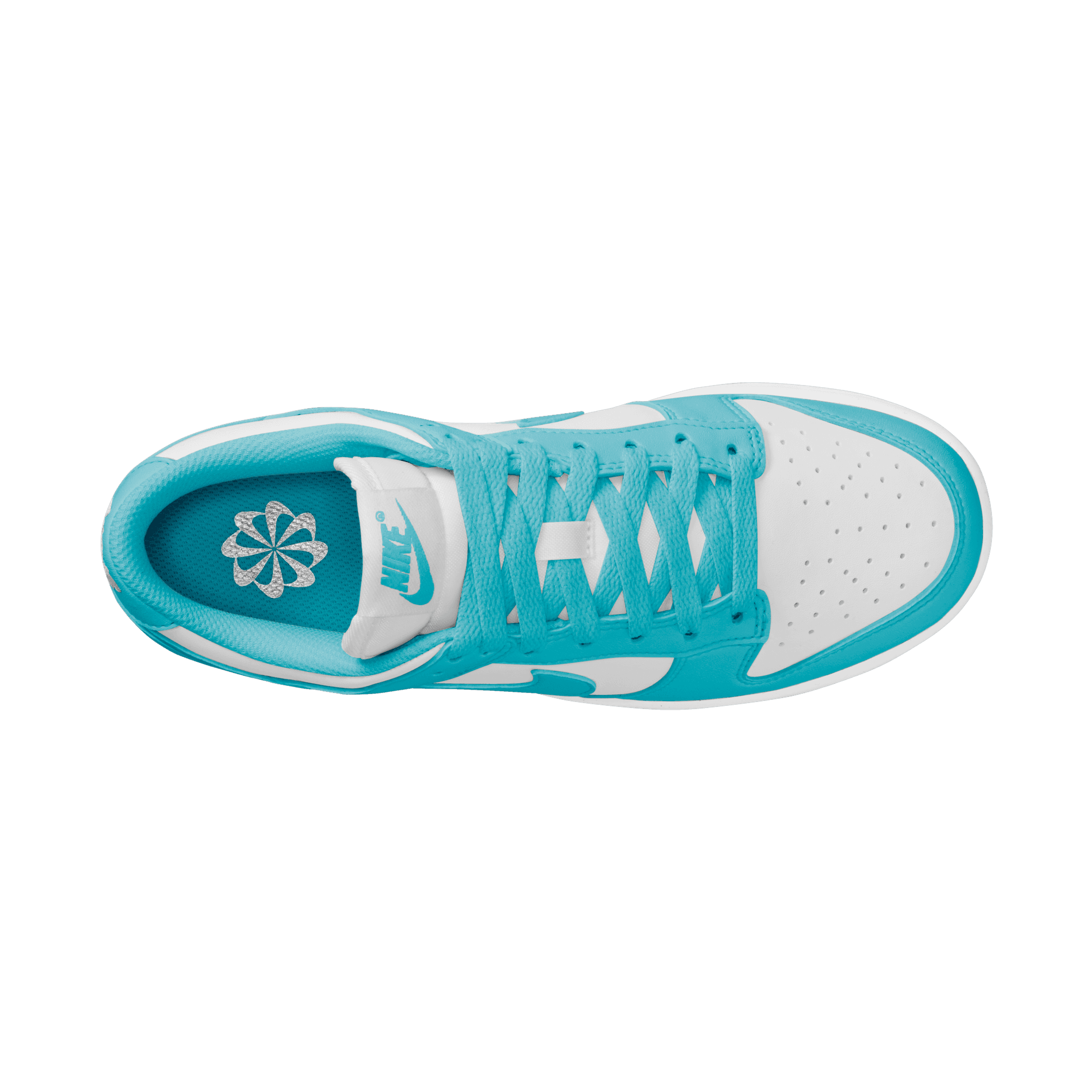 Women's Nike Dunk Low Next Nature "Dusty Cactus"