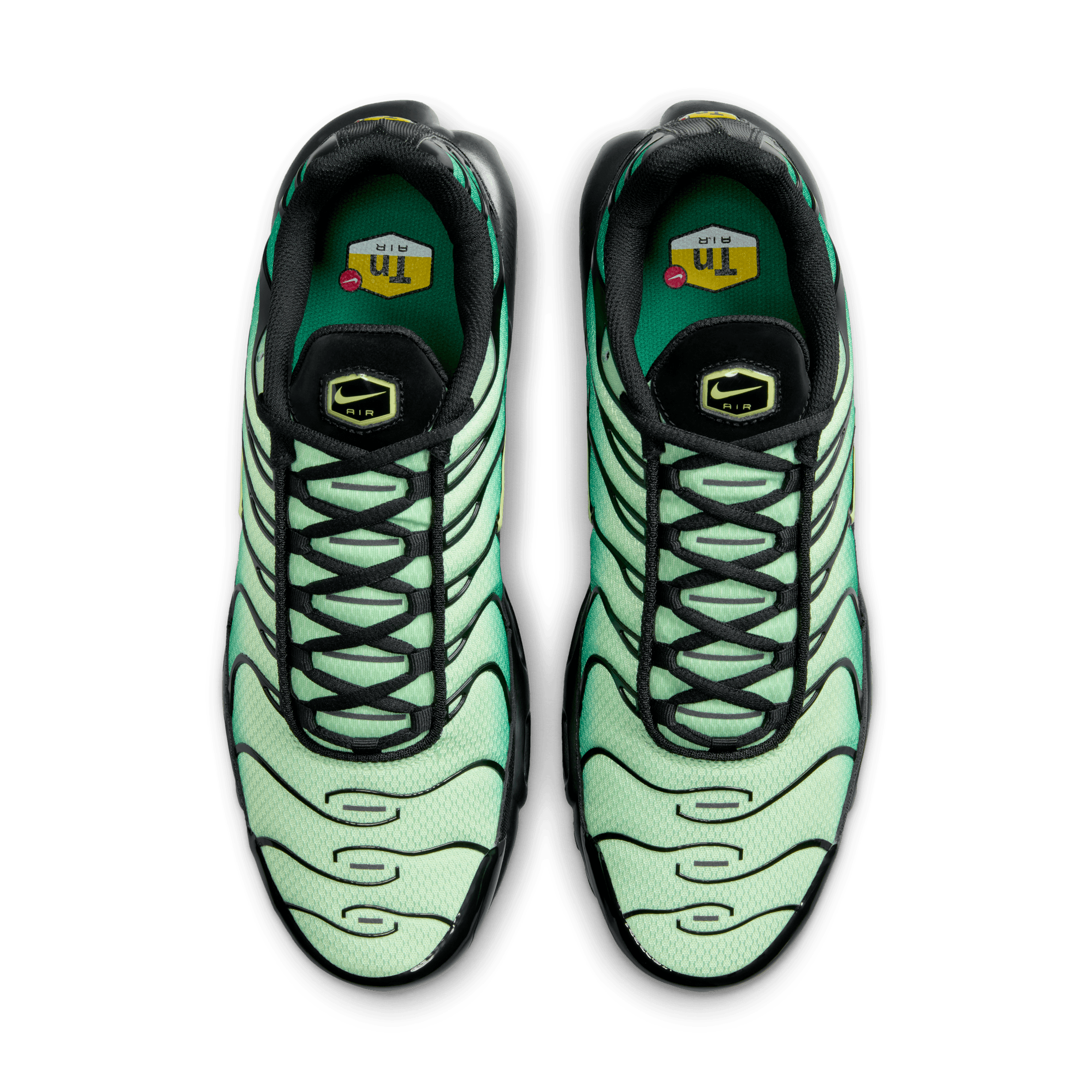 Men's Nike Air Max Plus "Vapor Green Gradient"