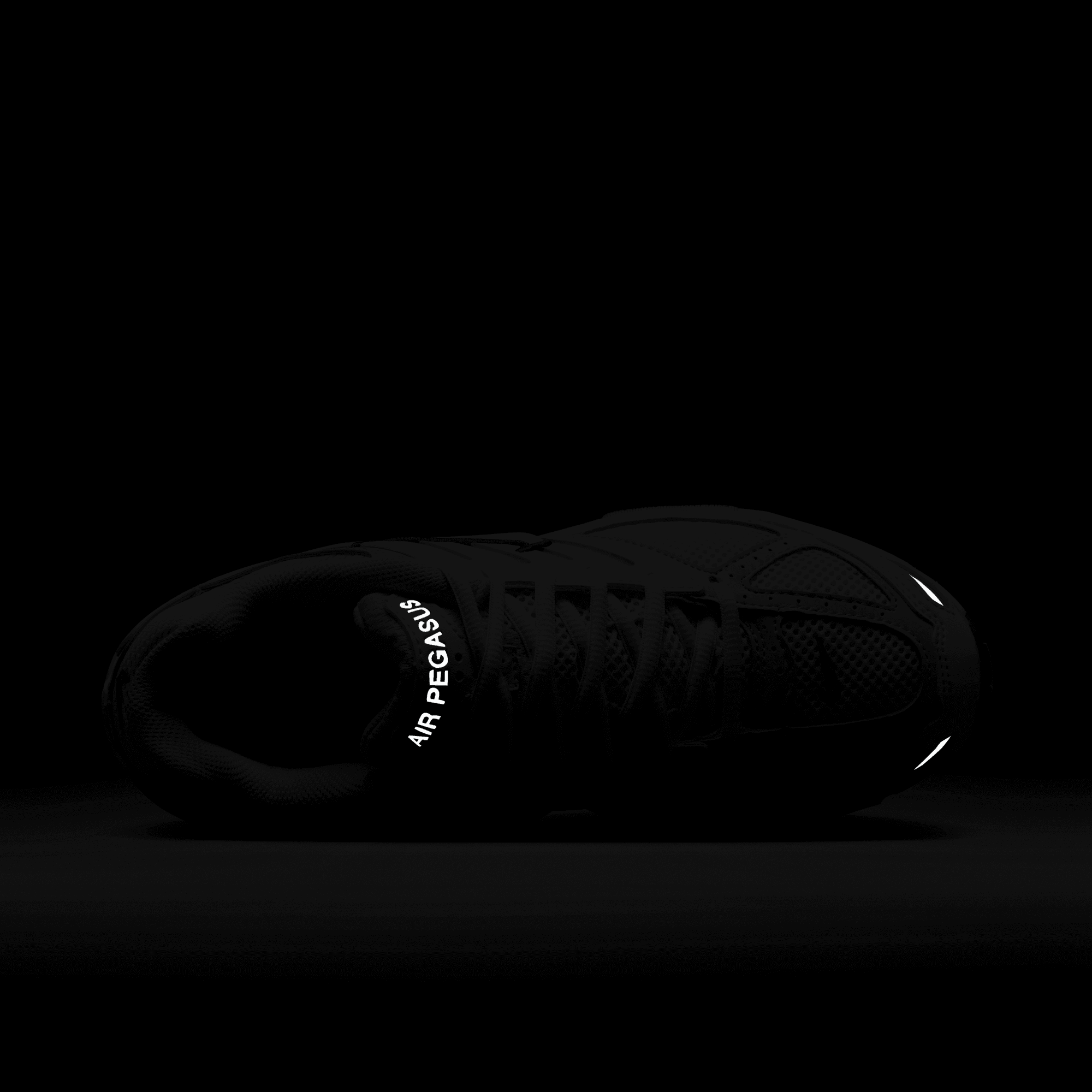 Women's Nike Air Pegasus 2005 "Summit White"