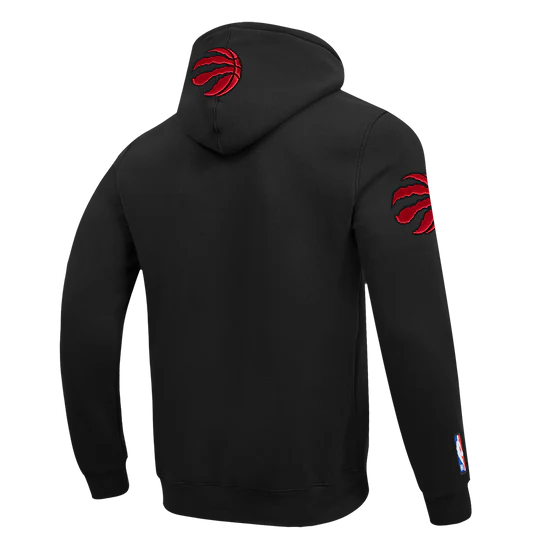 Men's Pro Standard Toronto Raptors Hoodie