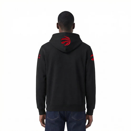 Men's Pro Standard Toronto Raptors Hoodie
