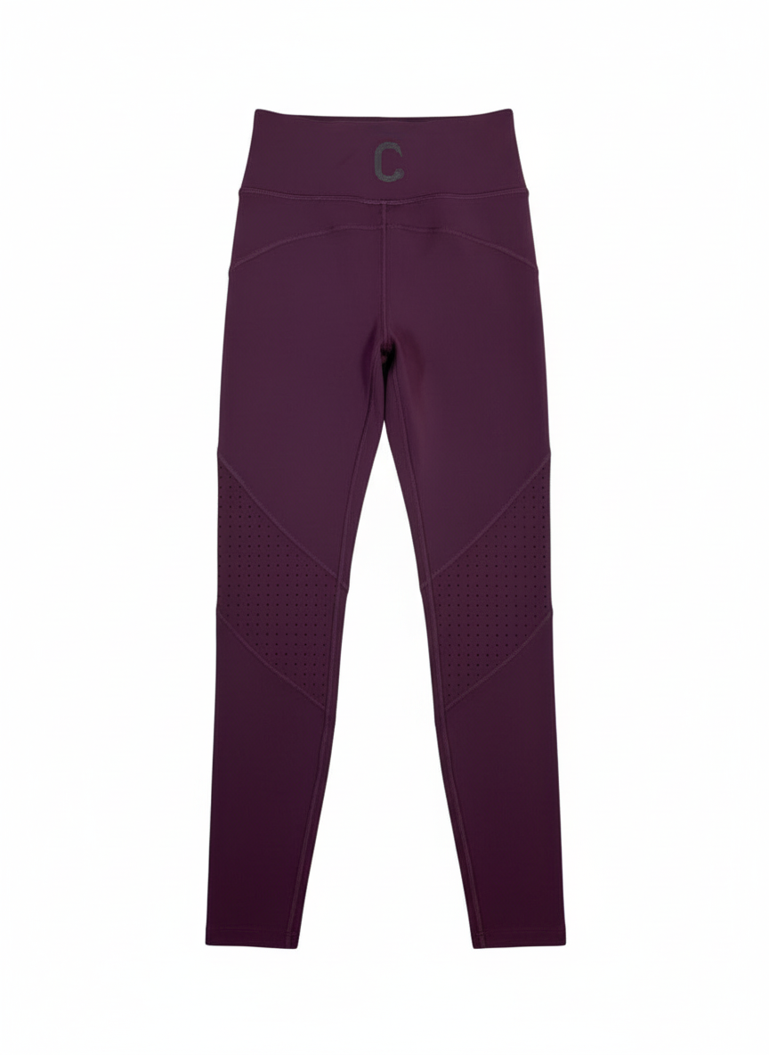 The Closet Inc Purple Spandex Tights