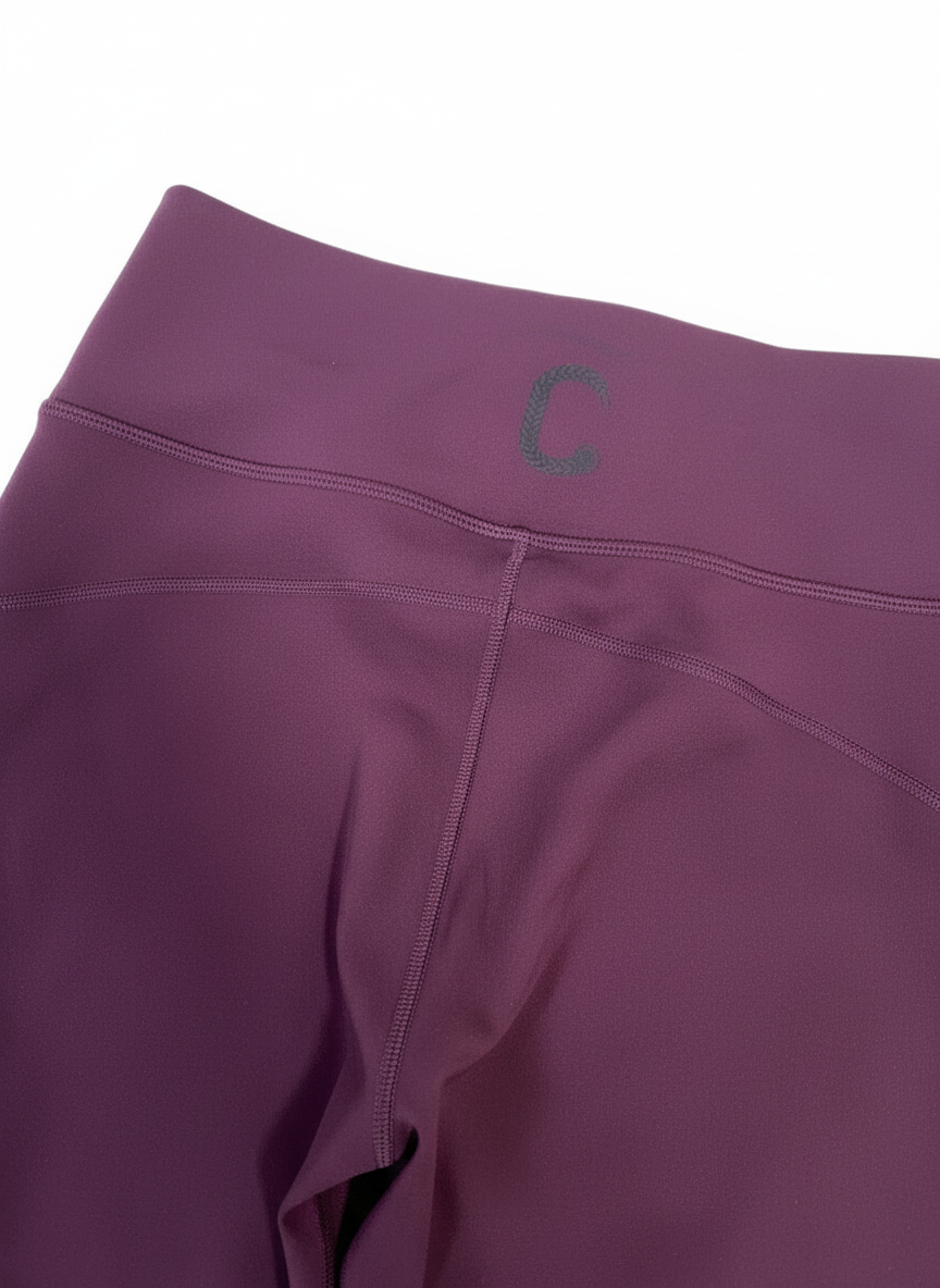 The Closet Inc Purple Spandex Tights