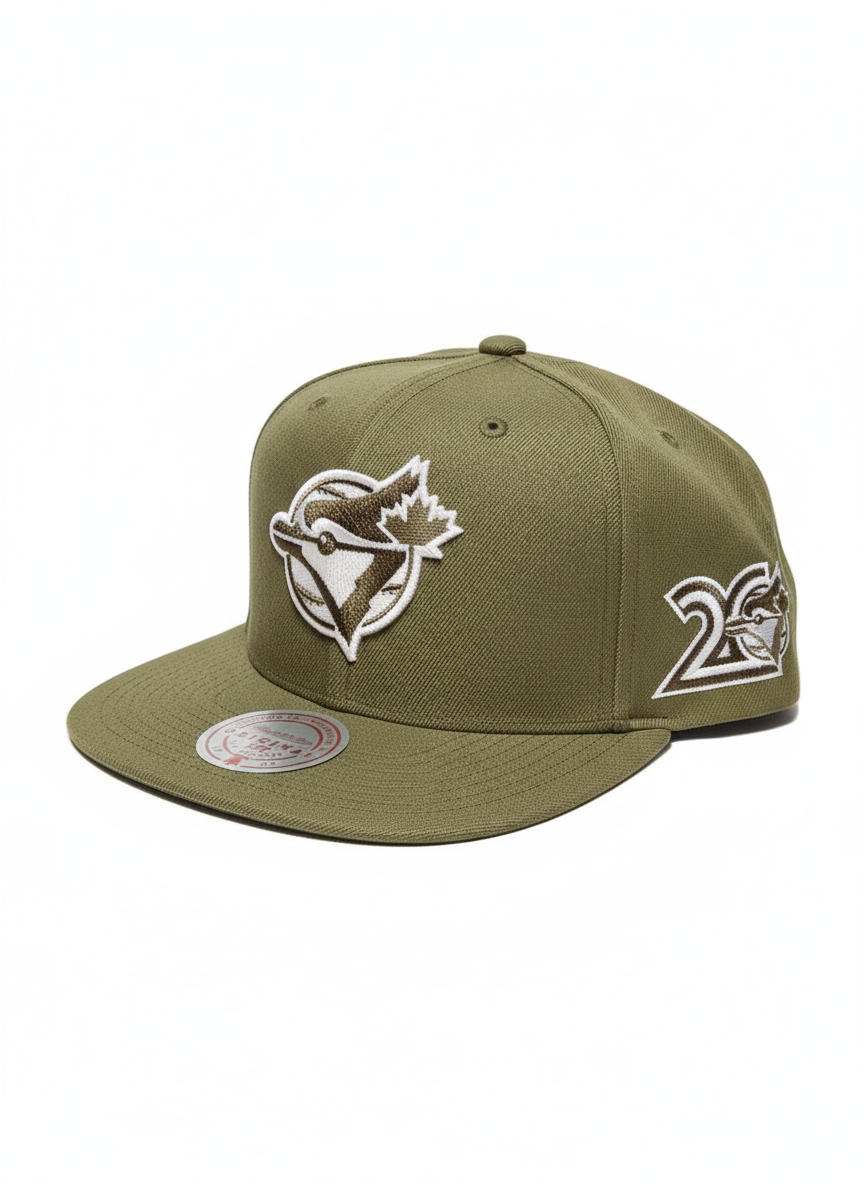 Mitchell And Ness MLB Toronto Blue Jays 20 Snapback