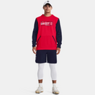 Men's Under Armour Baseball Graphic Hoodie