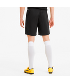 Men's Puma TeamGOAL 23 Knit Shorts