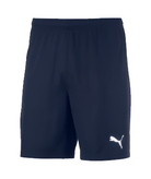 Men's Puma TeamGOAL 23 Knit Shorts
