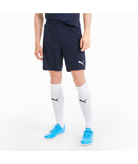 Men's Puma TeamGOAL 23 Knit Shorts