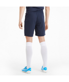 Men's Puma TeamGOAL 23 Knit Shorts