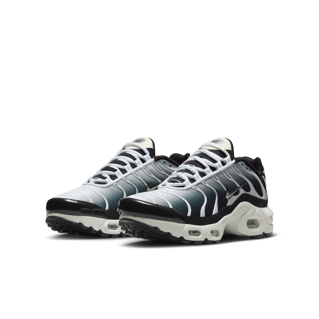 Big Kids' Nike Air Max Plus "Metallic Cool Grey"