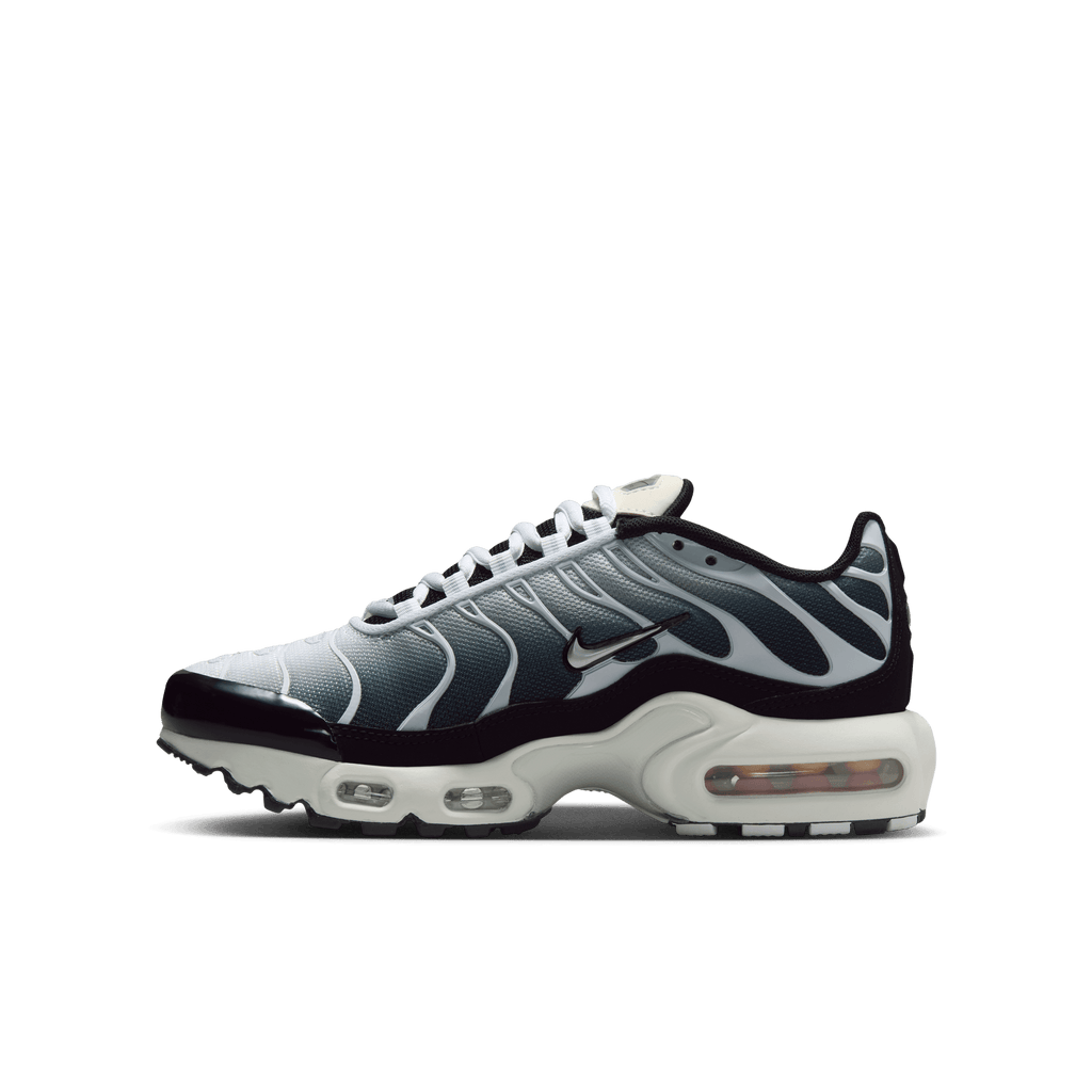 Big Kids' Nike Air Max Plus "Metallic Cool Grey"