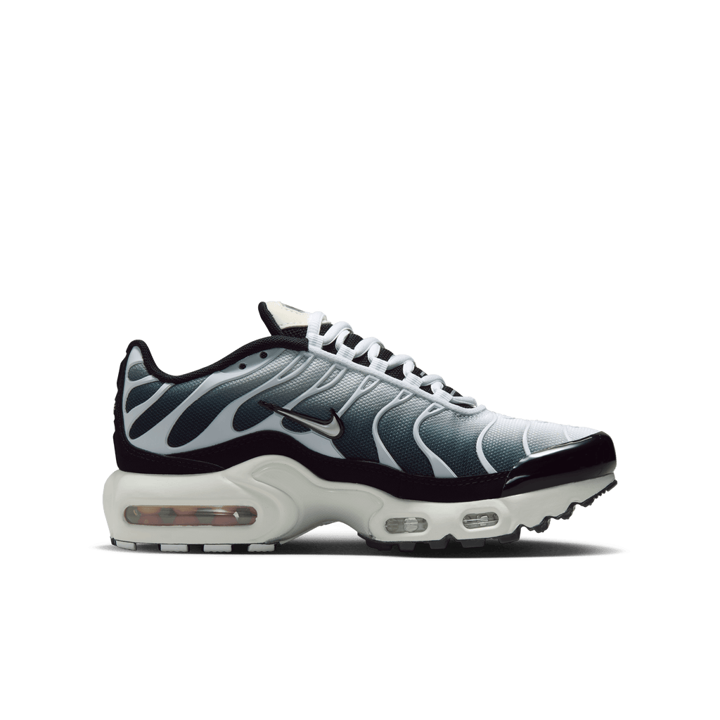 Big Kids' Nike Air Max Plus "Metallic Cool Grey"