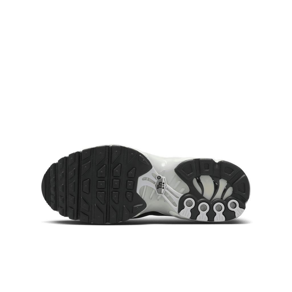 Big Kids' Nike Air Max Plus "Metallic Cool Grey"