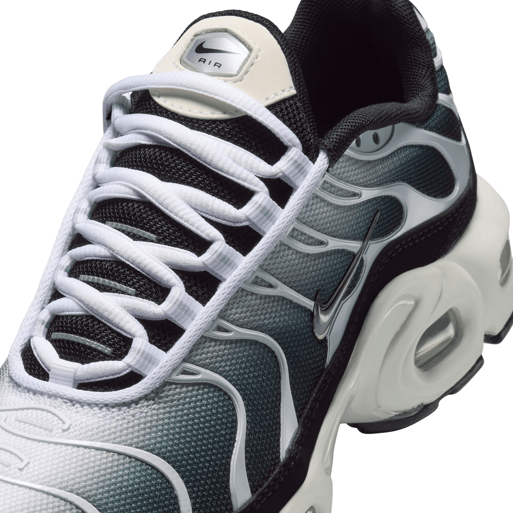 Big Kids' Nike Air Max Plus "Metallic Cool Grey"