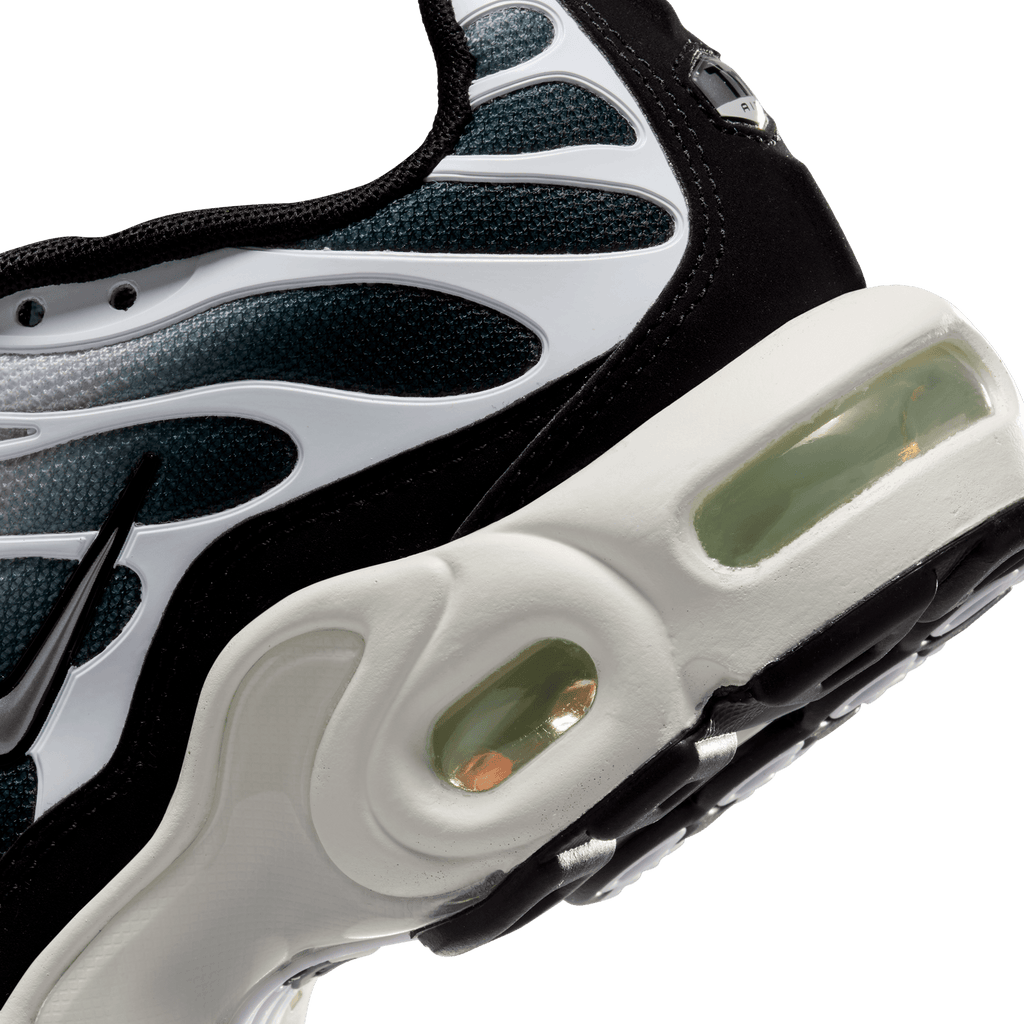 Big Kids' Nike Air Max Plus "Metallic Cool Grey"