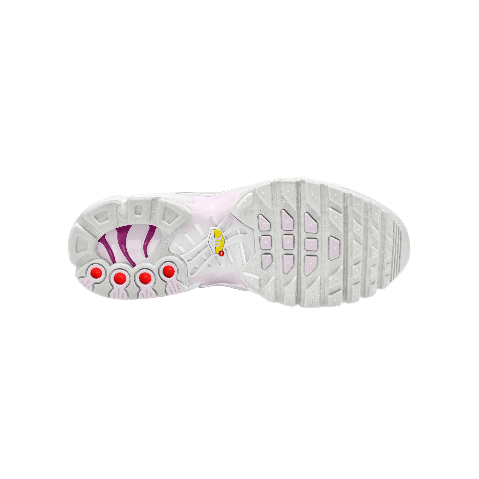 Big Kids' Nike Air Max Plus "Light Violet"