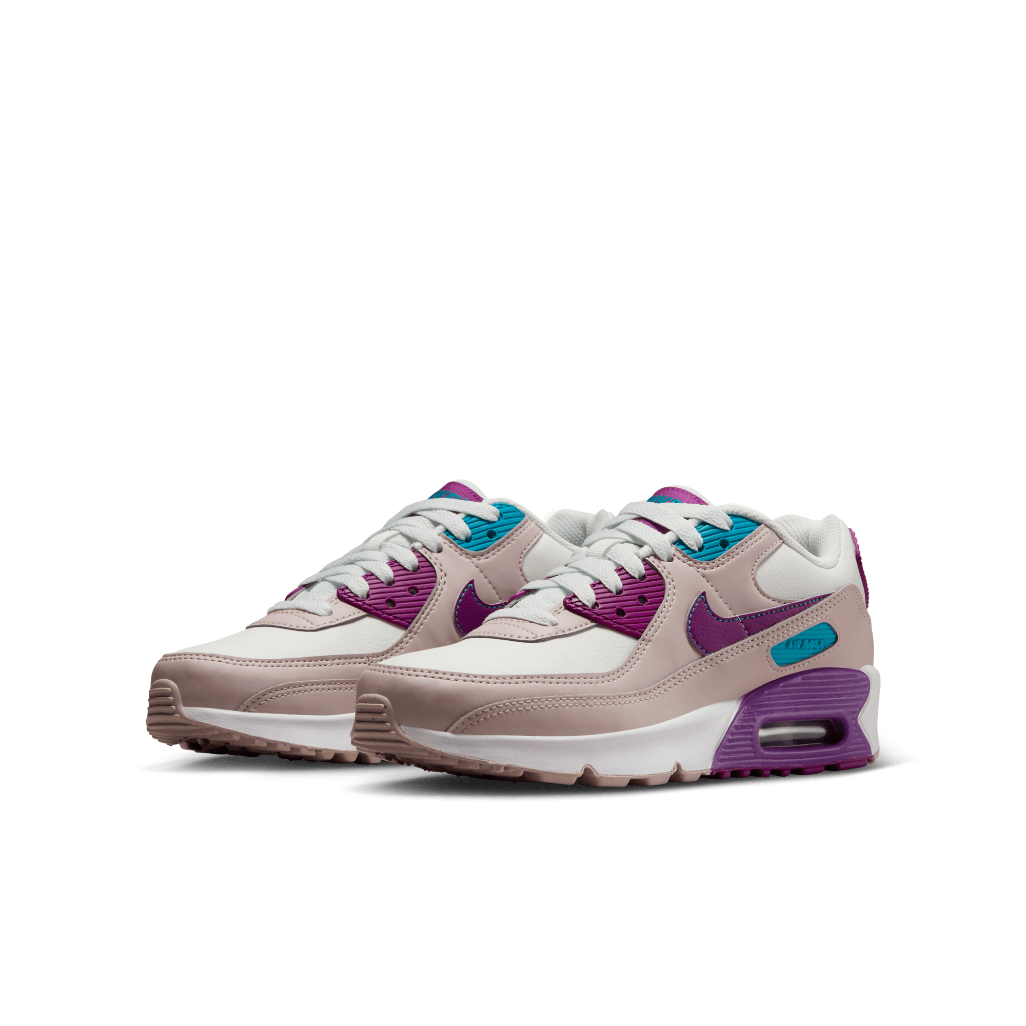 Big Kids Nike Air Max 90 LTR Viotech