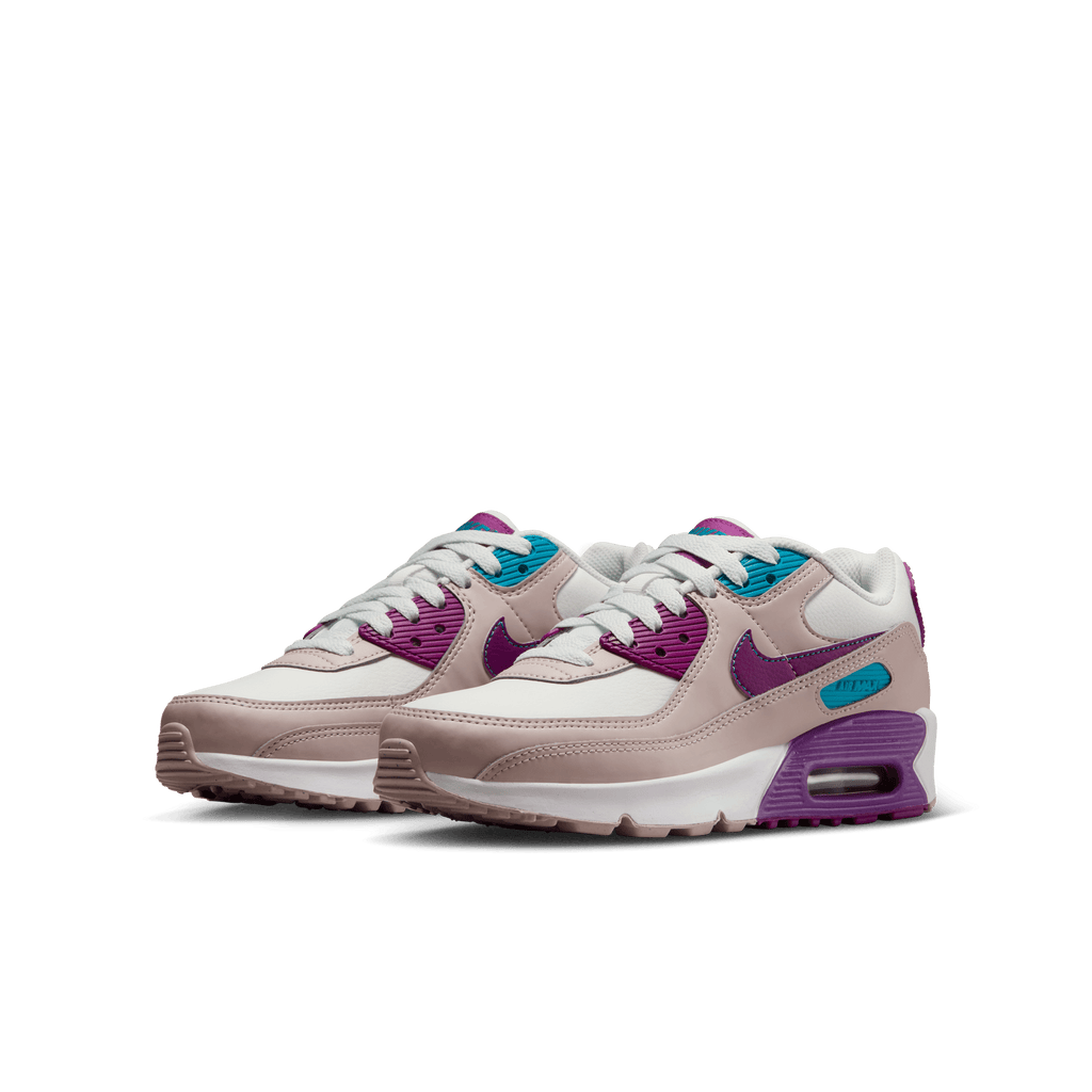 Big Kids' Nike Air Max 90 LTR "Viotech"