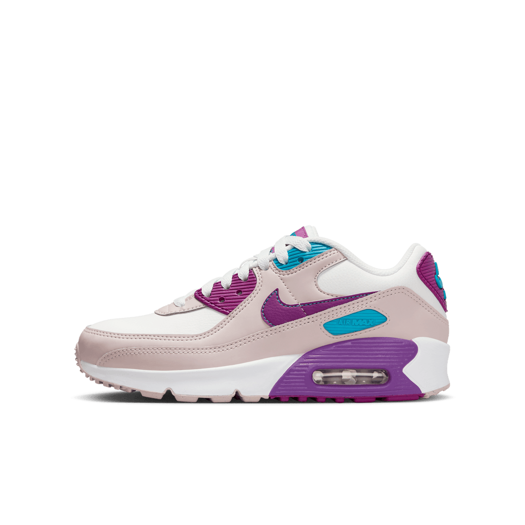 Big Kids' Nike Air Max 90 LTR "Viotech"