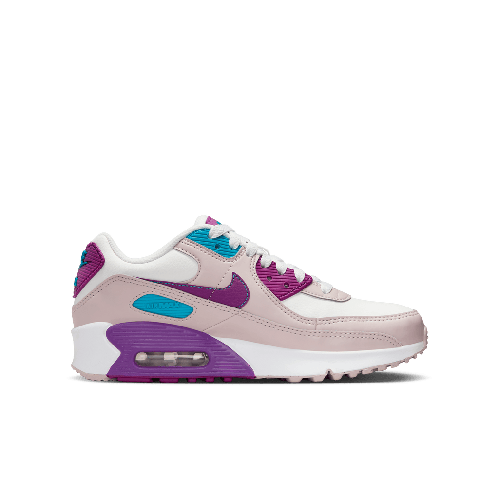 Big Kids' Nike Air Max 90 LTR "Viotech"