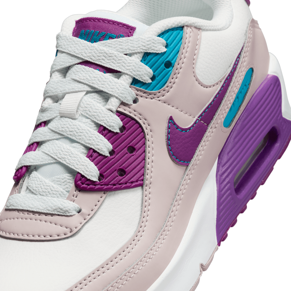 Big Kids' Nike Air Max 90 LTR "Viotech"