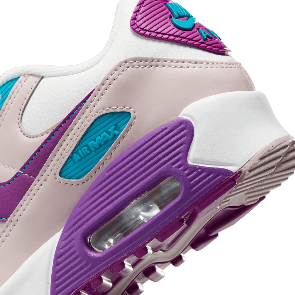 Big Kids' Nike Air Max 90 LTR "Viotech"