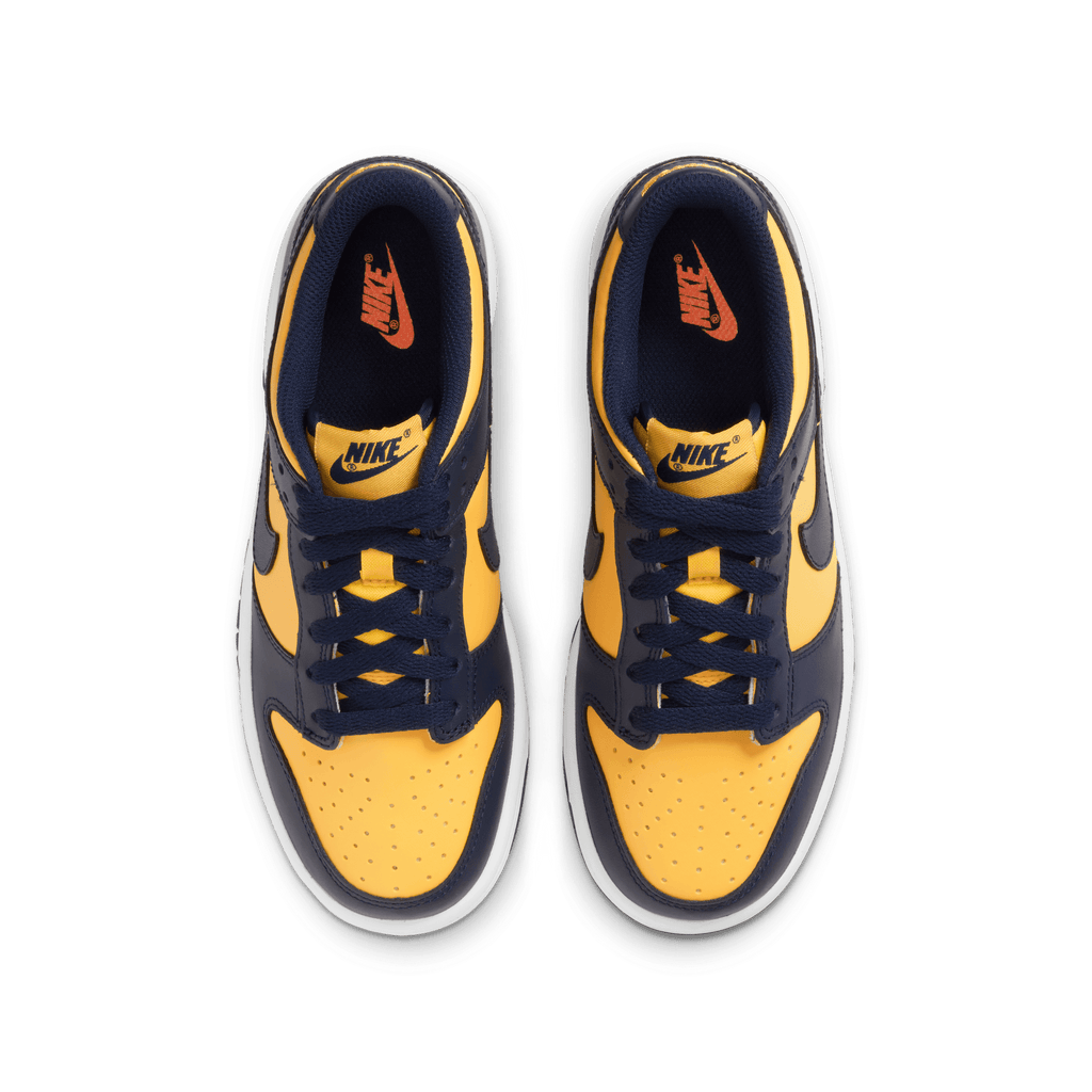 Big Kids' Nike Dunk Low "Michigan"