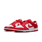 Women's Nike Dunk Low Next Nature “St. Johns”