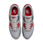 Men's Nike Air Max 90 “USA/Light Smoke Grey”