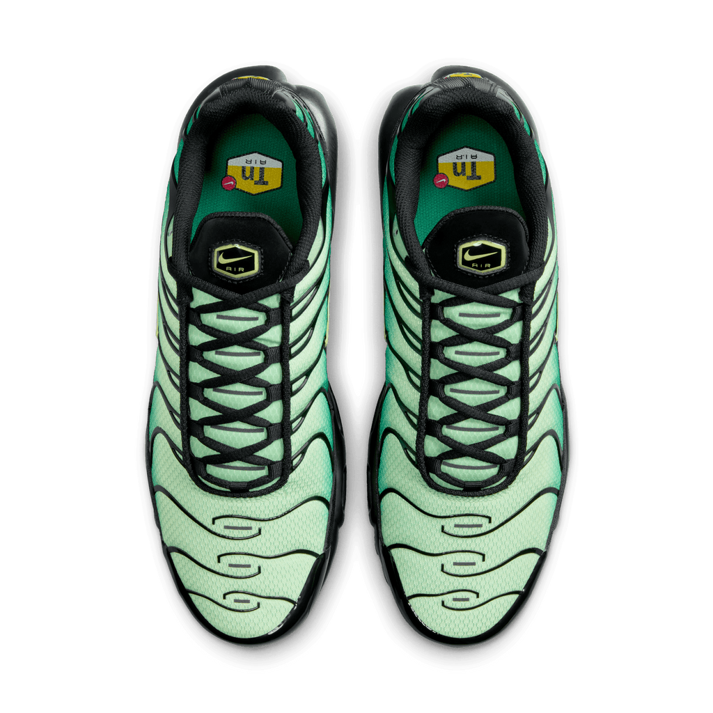 Men's Nike Air Max Plus "Vapor Green Gradient"