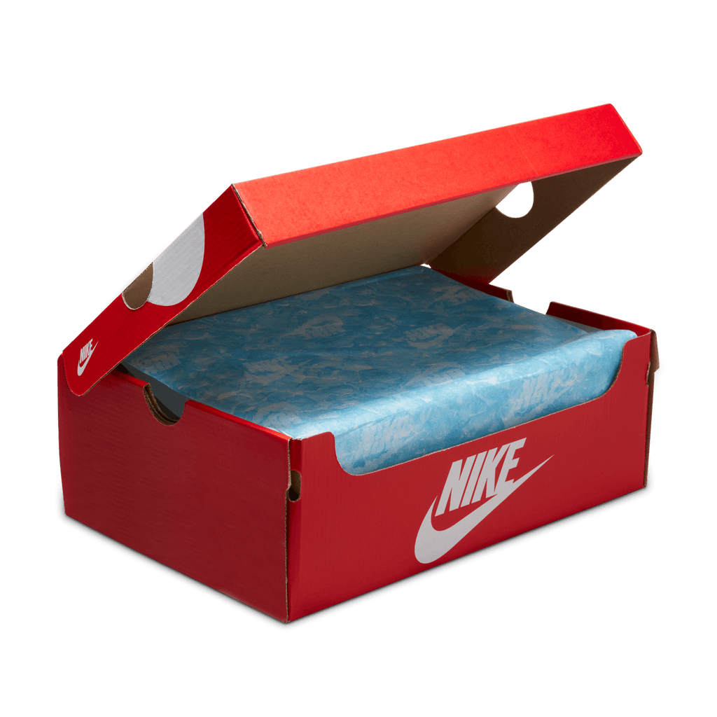 Men's Nike Dunk Low Retro SE "Gone Fishing"