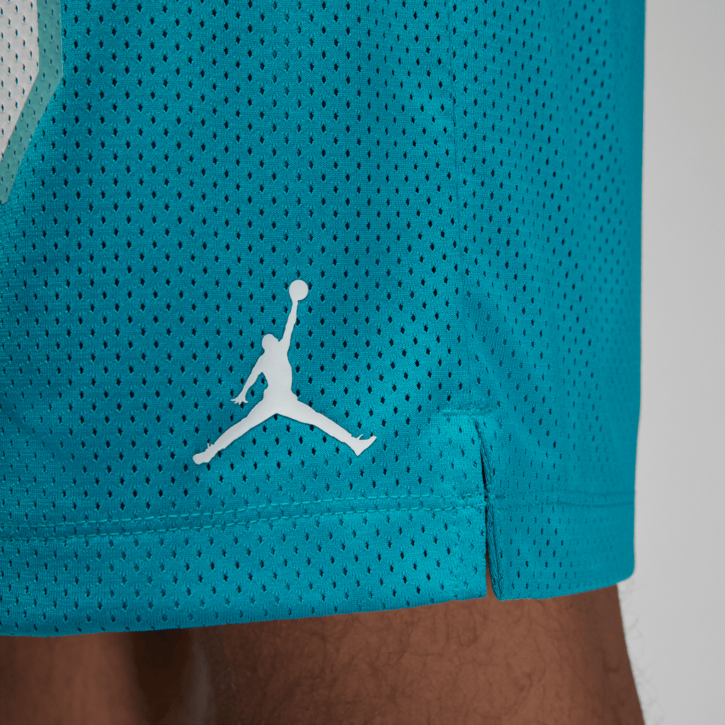 Men's Jordan Essentials Graphic Mesh Shorts
