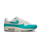 Women's Nike Air Max 1 "Dusty Cactus"