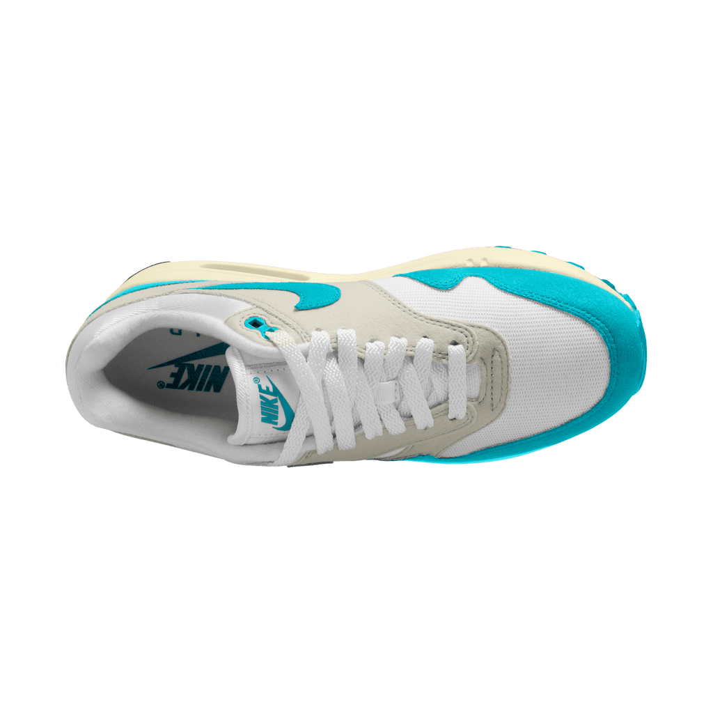 Women's Nike Air Max 1 "Dusty Cactus"