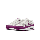 Big Kids' Air Max 1 "Viotech"