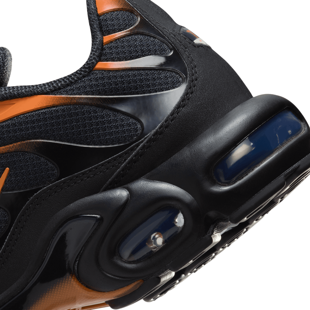 Men's Nike Air Max Plus "Dark Obsidian Monarch"