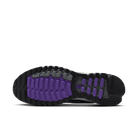 Men's Nike Air Max TL 2.5 "Wild Grape"