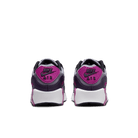 Big Kids' Nike Air Max 90 "Cement Grey Dark Raisin"