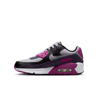 Big Kids' Nike Air Max 90 "Cement Grey Dark Raisin"