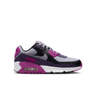 Big Kids' Nike Air Max 90 "Cement Grey Dark Raisin"