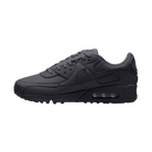 Men's Nike Air Max 90 "Dark Smoke Grey Sanded Purple"