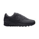 Men's Nike Air Max 90 "Dark Smoke Grey Sanded Purple"