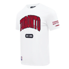 Men's Pro Standard Toronto Raptors City Arch Tee