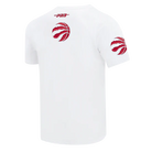 Men's Pro Standard Toronto Raptors City Arch Tee