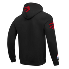 Men's Pro Standard Toronto Raptors Hoodie