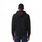 Men's Pro Standard Toronto Raptors Hoodie