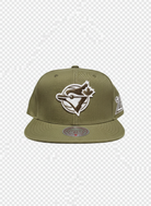 Mitchell And Ness MLB Toronto Blue Jays 20 Snapback