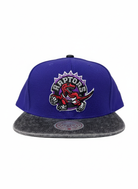Mitchell And Ness NBA Toronto Raptors Denim Beak Snapback